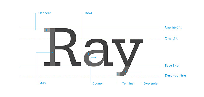 anatomy of type